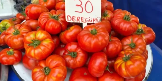 Üretici Pazarındaki Fiyatlar Semt Pazarlarıyla Aynı!