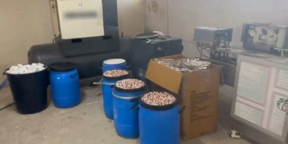 Screenshot_20250828_074110