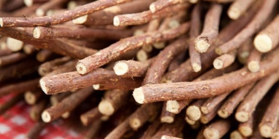 Binlerce yıllık şifa kaynağı: Kilo vermeye yardımcı olduğu kanıtlandı