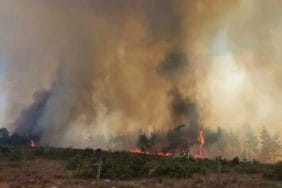 7 ilde orman yangınları kontrol altında