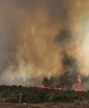 7 ilde orman yangınları kontrol altında