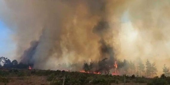 7 ilde orman yangınları kontrol altında