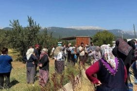 Eğirdir'de Elma Üretimi Tehlikede: Serpil Köyü'nün Sulama Sorunu Devam Ediyor