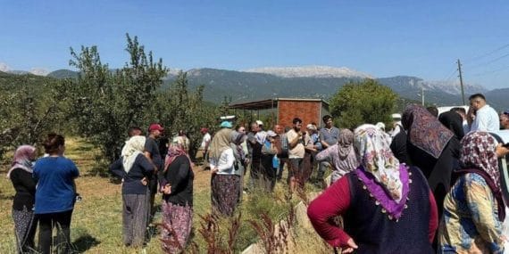 Eğirdir'de Elma Üretimi Tehlikede: Serpil Köyü'nün Sulama Sorunu Devam Ediyor