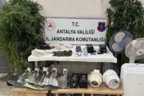 Manavgat'ta Kenevir Yetiştiriciliği Operasyonu: 11 Bitki ve 45 Gram Esrar Ele Geçirildi