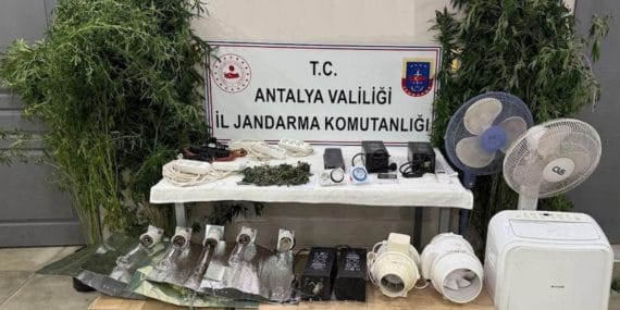 Manavgat'ta Kenevir Yetiştiriciliği Operasyonu: 11 Bitki ve 45 Gram Esrar Ele Geçirildi