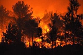 Mersin'deki orman yangınında 4 tutuklama