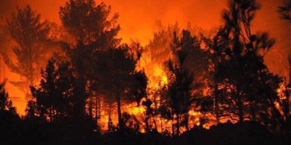 Mersin'deki orman yangınında 4 tutuklama