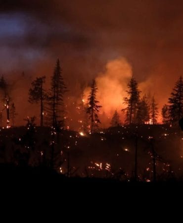 Türkiye'de Çoklu Orman Yangını: Kocaeli, Karaman, Afyonkarahisar ve Diyarbakır'da Mücadele Sürüyor