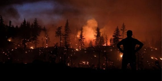 Türkiye'de Çoklu Orman Yangını: Kocaeli, Karaman, Afyonkarahisar ve Diyarbakır'da Mücadele Sürüyor