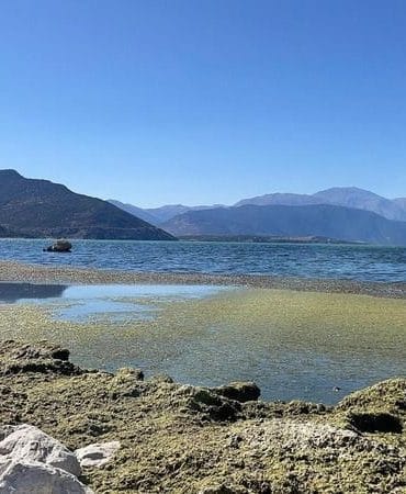 Türkiye, 55 Yıllık Rekor Sıcaklıkla Boğuştu: Temmuz Ayı Tarihin En Sıcak Ayı Oldu