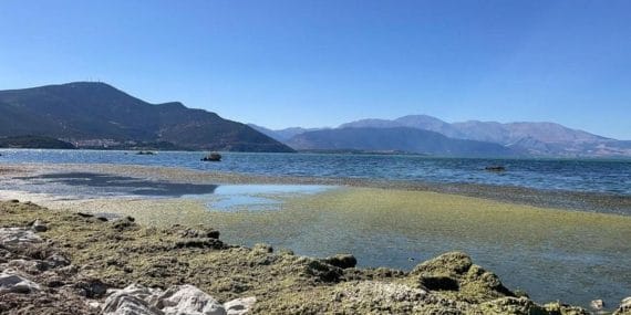 Türkiye, 55 Yıllık Rekor Sıcaklıkla Boğuştu: Temmuz Ayı Tarihin En Sıcak Ayı Oldu