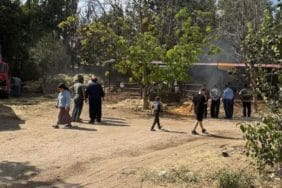 Atabey Besihane Yangınında İki İnek Telef Oldu