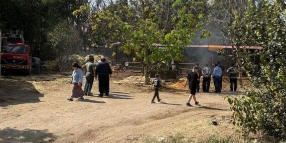 Atabey Besihane Yangınında İki İnek Telef Oldu