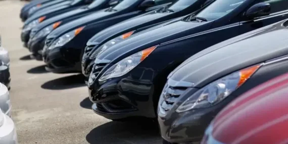 2025 İlk Yarısı Otomotiv Pazar Raporu: Avrupa'da Dacia Sandero, Türkiye'de Fiat Egea Zirvede