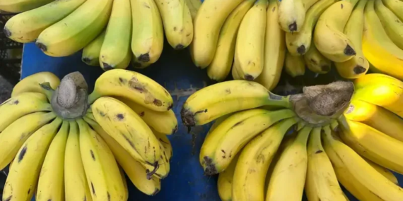 Isparta'da Sebze ve Meyve Fiyatları Tavan Yaptı: Muz Kilosu 90 TL!