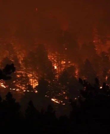 Antalya Aksu'da Sazlık Yangını: İki Ev Hasarlı, 2,5 Saatte Kontrol Altına Alındı