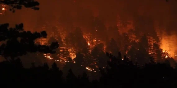 Antalya Aksu'da Sazlık Yangını: İki Ev Hasarlı, 2,5 Saatte Kontrol Altına Alındı