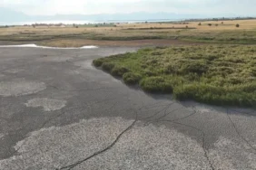 Beyşehir Gölü'nde Kuraklık Felaketi: Adalar Yürüyerek Ulaşılabilir Hale Geldi