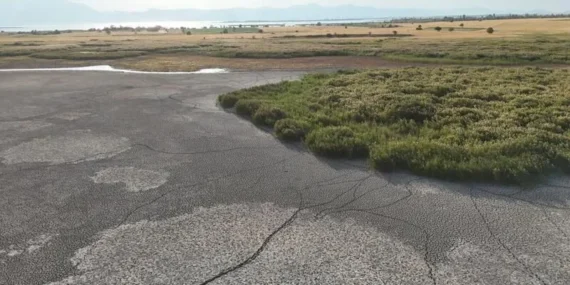 Beyşehir Gölü'nde Kuraklık Felaketi: Adalar Yürüyerek Ulaşılabilir Hale Geldi
