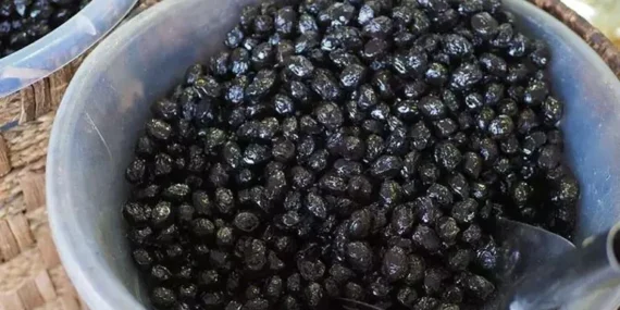 Zeytinin acısı nasıl alınır? Acı aromasından eser kalmıyor, aylarca taze tutuyor