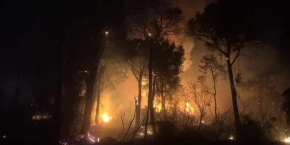 Antalya'da Artan Orman Yangını Tehlikesi: İki Günde 25'ten Fazla Yangın