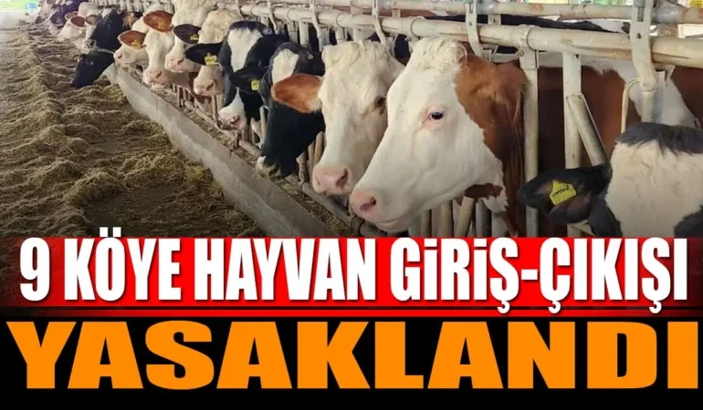 Şap Hastalığı Salgını: Burdur'da 9 Köye Hayvan Giriş-Çıkışı Yasaklandı