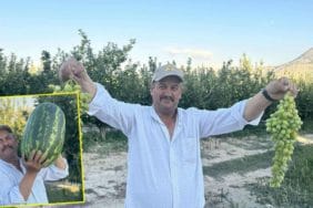 Senirkent Çiftçileri Dev Karpuzlarla Tarım Sektörüne Damga Vuruyor