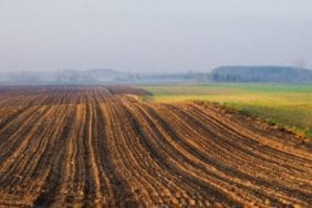 Atıl Araziler Üretime Kazandırılacak: 300 Bin Dekarlık Alan Kasım 2025'te Kiralanacak