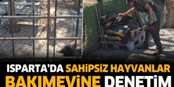 Isparta'da sahipsiz hayvanlar bakımevine denetim