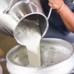 Çiğ Süt Fiyatında Kritik Zam Talebi: TÜSEDAD'dan 21 TL Teklifi