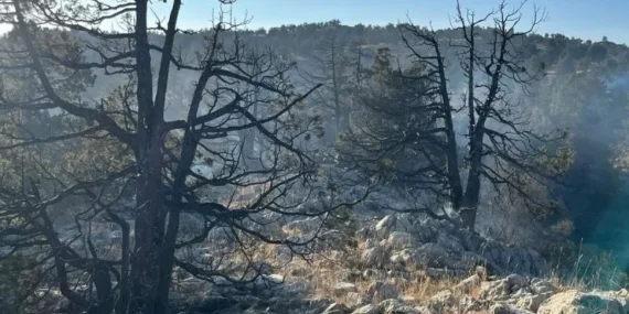 Isparta'da Orman Yangını Kontrol Altına Alındı