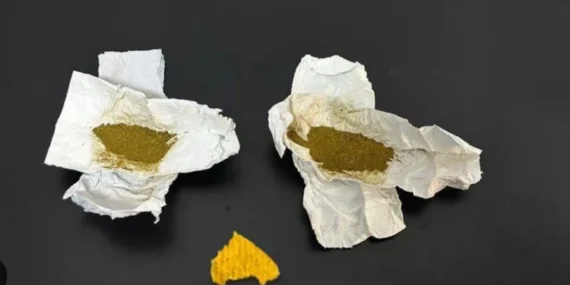 Isparta'da Geniş Kapsamlı Uyuşturucu Operasyonu: 14 Gram Bonzai ve 3 Gözaltı