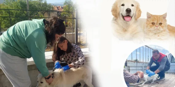 Evcil Hayvan Sahiplerine Kritik Uyarı: Mikroçip Zorunluluğunda Süre Daralıyor