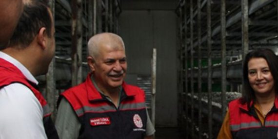 Isparta'da Tarımsal İnovasyon: Yüksek Verimli Mantar Tesisi Yetkililerden Tam Not Aldı