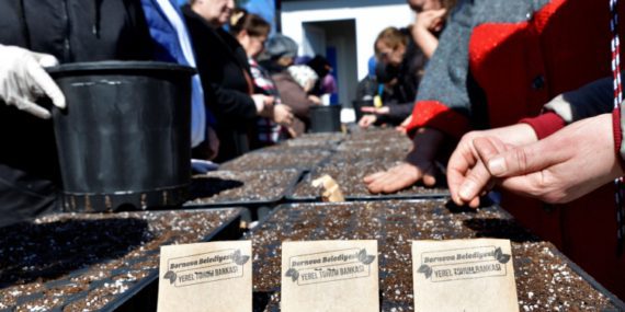 Bornova'da Kadın Üreticiler Yerel Tohumla Sezona Başladı